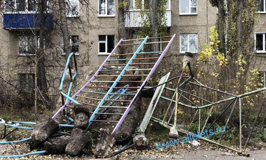 В Ельце вандал-подрядчик прибил гвоздями к живым деревьям паспорт объекта благоустройства!