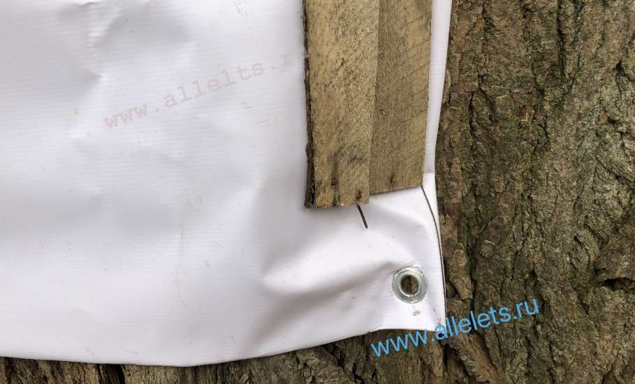 В Ельце вандал-подрядчик прибил гвоздями к живым деревьям паспорт объекта благоустройства!