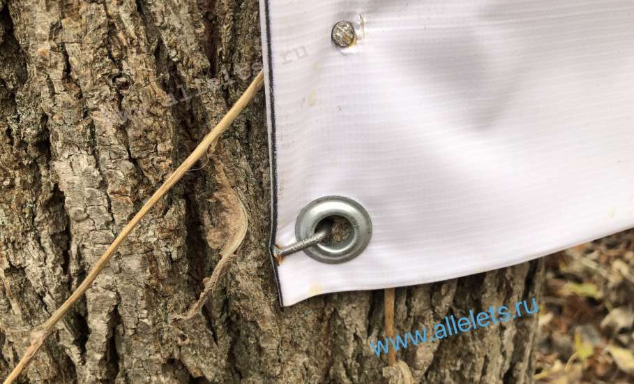 В Ельце вандал-подрядчик прибил гвоздями к живым деревьям паспорт объекта благоустройства!