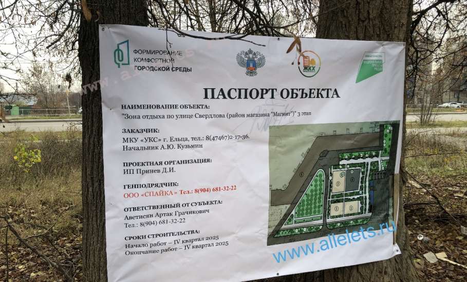 В Ельце вандал-подрядчик прибил гвоздями к живым деревьям паспорт объекта благоустройства!