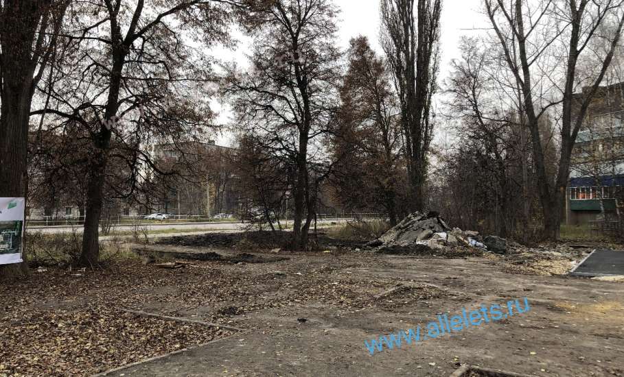 В Ельце вандал-подрядчик прибил гвоздями к живым деревьям паспорт объекта благоустройства!