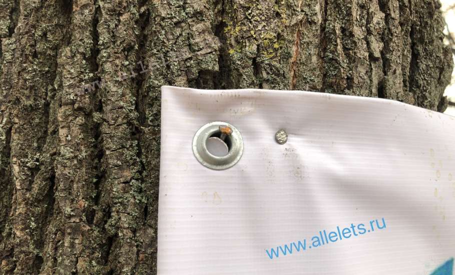 В Ельце вандал-подрядчик прибил гвоздями к живым деревьям паспорт объекта благоустройства!