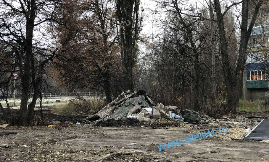 В Ельце вандал-подрядчик прибил гвоздями к живым деревьям паспорт объекта благоустройства!