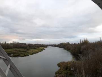 После строительных работ автомобильного моста через реку Сосна, видимо была нарушена глубина реки и изменилось течение