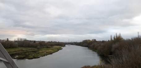 После строительных работ автомобильного моста через реку Сосна, видимо была нарушена глубина реки и изменилось течение