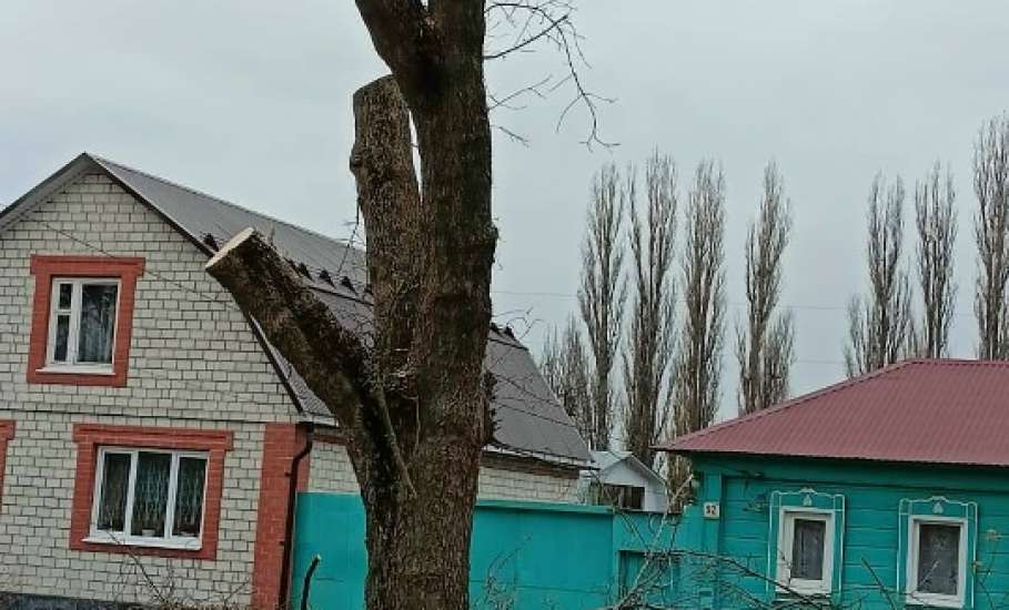 Сотрудники МУП «Елец-Сервис» продолжают работы по благоустройству города