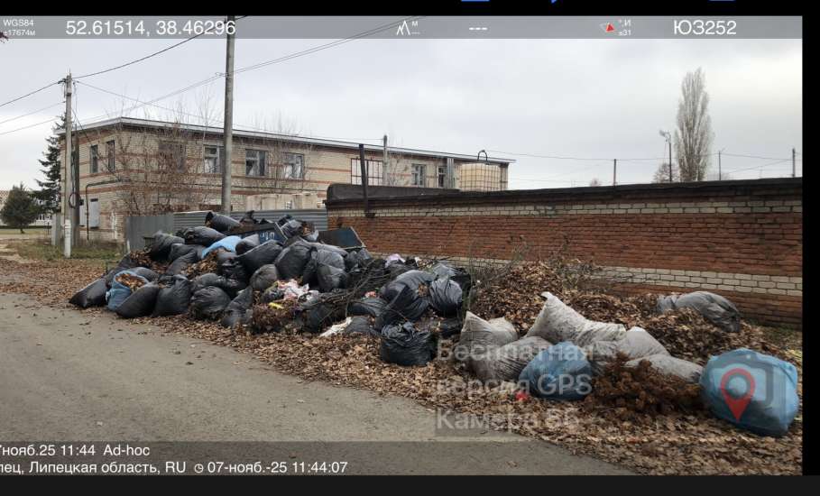 Почему бездействует глава села Хмелинец?! Собаки сидят в бункерах, мусор не вывозится!