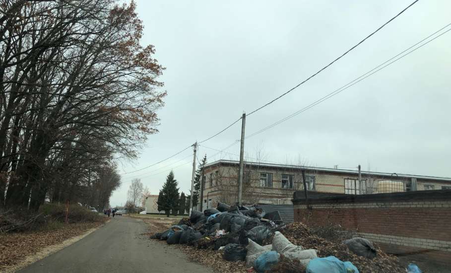 Почему бездействует глава села Хмелинец?! Собаки сидят в бункерах, мусор не вывозится!