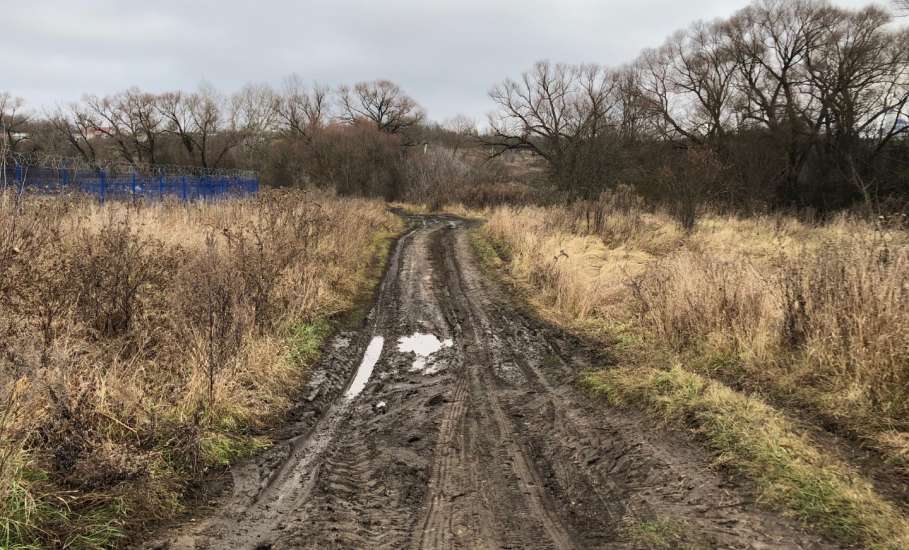 Почему бездействует глава села Хмелинец?! Собаки сидят в бункерах, мусор не вывозится!