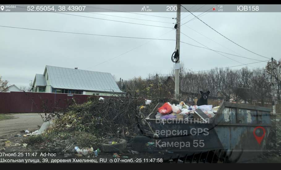 Почему бездействует глава села Хмелинец?! Собаки сидят в бункерах, мусор не вывозится!