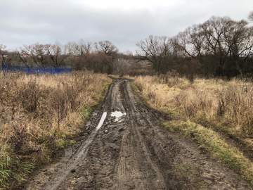 Почему бездействует глава села Хмелинец?! Собаки сидят в бункерах, мусор не вывозится!