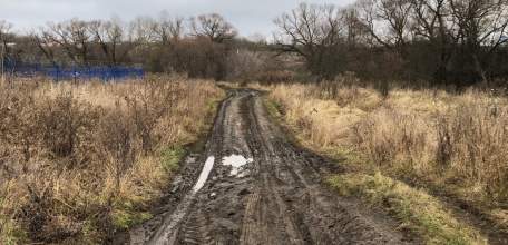 Почему бездействует глава села Хмелинец?! Собаки сидят в бункерах, мусор не вывозится!
