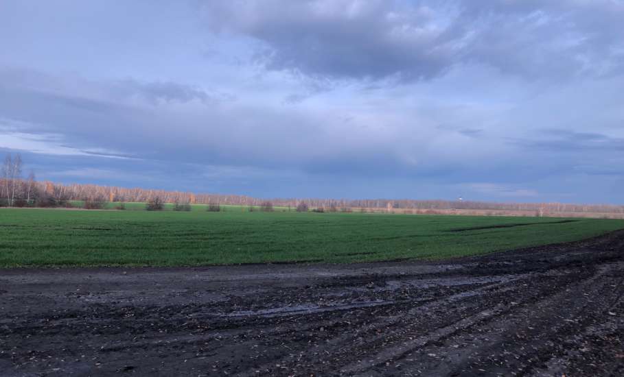 5 БПЛА сбито над Липецкой областью этой ночью.