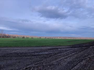 5 БПЛА сбито над Липецкой областью этой ночью.