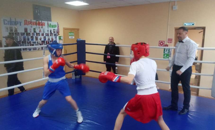 Девушки из Ельца приняли участие в сборах по боксу в Подмосковье