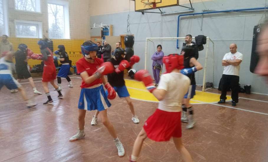Девушки из Ельца приняли участие в сборах по боксу в Подмосковье