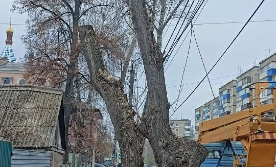 Сотрудники МУП «Елец-Сервис» продолжают работы по благоустройству города