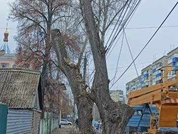 Сотрудники МУП «Елец-Сервис» продолжают работы по благоустройству города