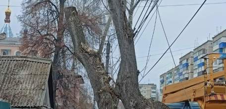 Сотрудники МУП «Елец-Сервис» продолжают работы по благоустройству города