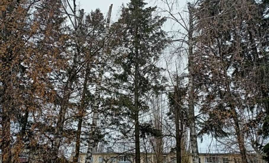 Сотрудники МУП «Елец-Сервис» продолжают работы по благоустройству города