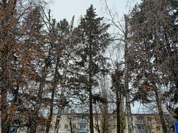 Сотрудники МУП «Елец-Сервис» продолжают работы по благоустройству города