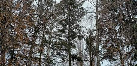 Сотрудники МУП «Елец-Сервис» продолжают работы по благоустройству города