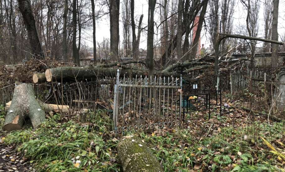 На старом кладбище в Ельце работы по опиловке деревьев в срок не выполнены!