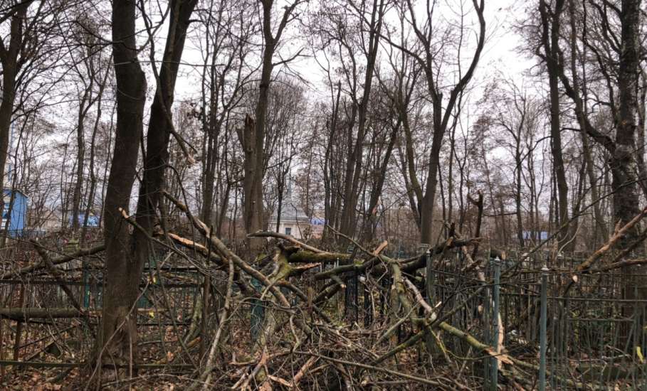 На старом кладбище в Ельце работы по опиловке деревьев в срок не выполнены!