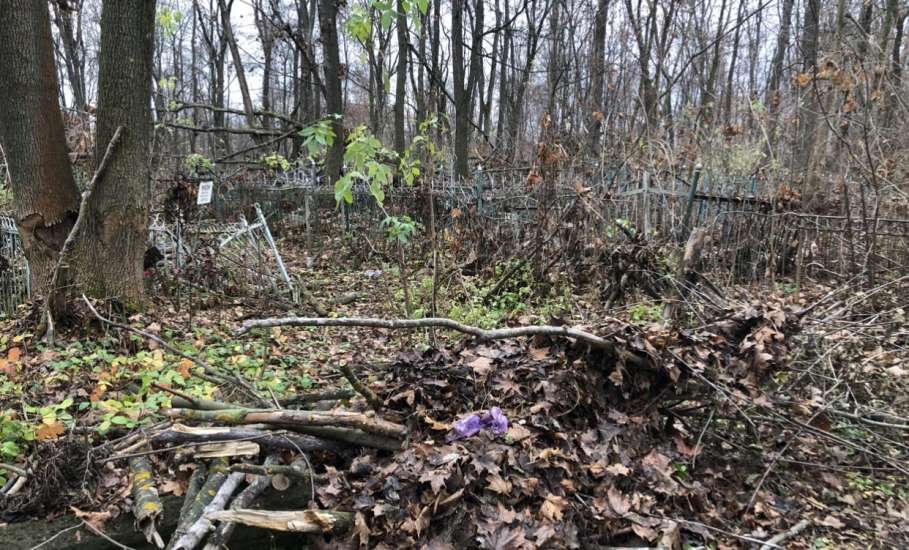 На старом кладбище в Ельце работы по опиловке деревьев в срок не выполнены!