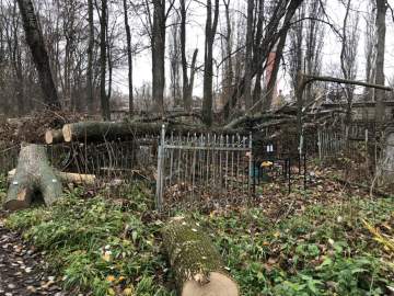 На старом кладбище в Ельце работы по опиловке деревьев в срок не выполнены!