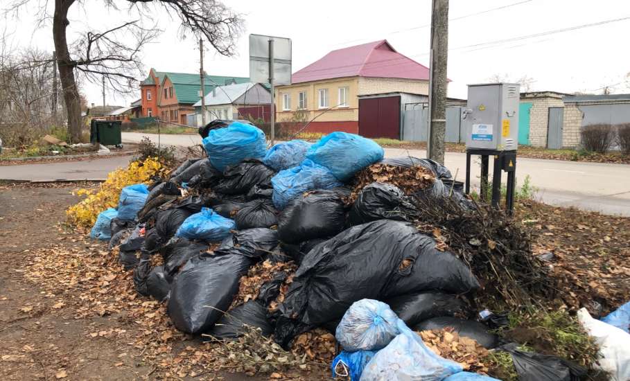 Грандиозная свалка мусора давно образовалась в центре города у учебного заведения!