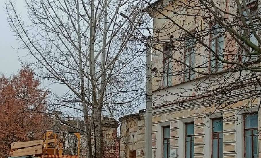 В Ельце убирали мусор на кладбище, пилили деревья и ремонтировали светофор