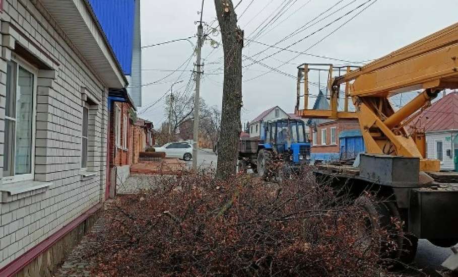 В Ельце убирали мусор на кладбище, пилили деревья и ремонтировали светофор