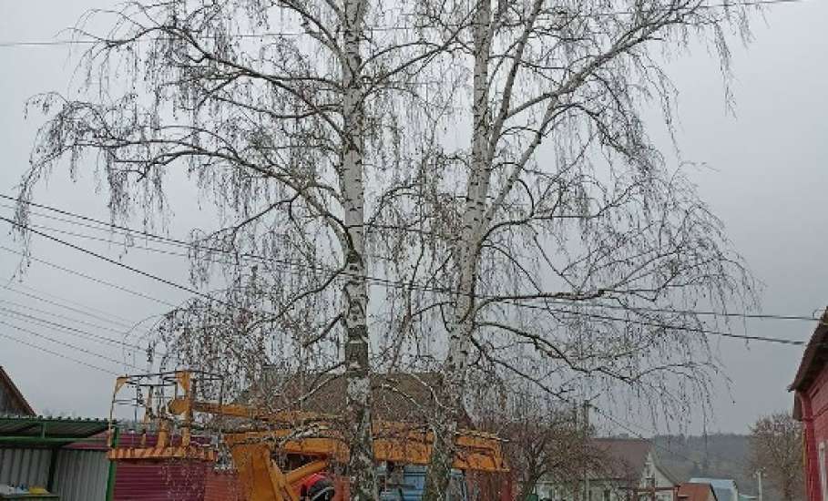 В Ельце убирали мусор на кладбище, пилили деревья и ремонтировали светофор