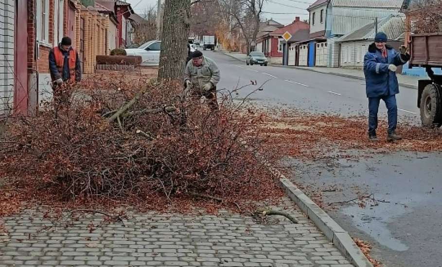 В Ельце убирали мусор на кладбище, пилили деревья и ремонтировали светофор
