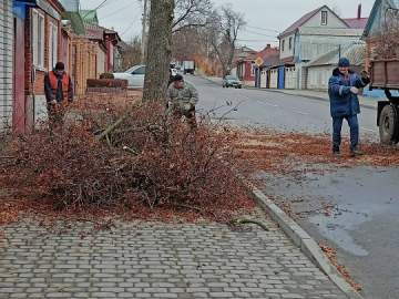 В Ельце убирали мусор на кладбище, пилили деревья и ремонтировали светофор