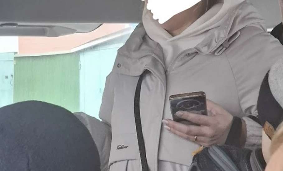 Полицейские установили личность буйной ельчанки