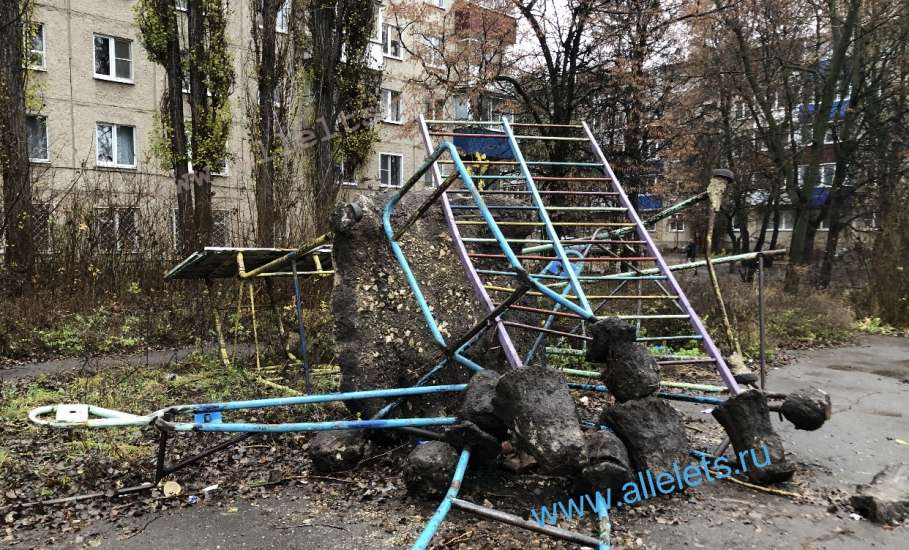 Подрядчик сбежал? А кто будет вывозить мусор со спортивной площадки?