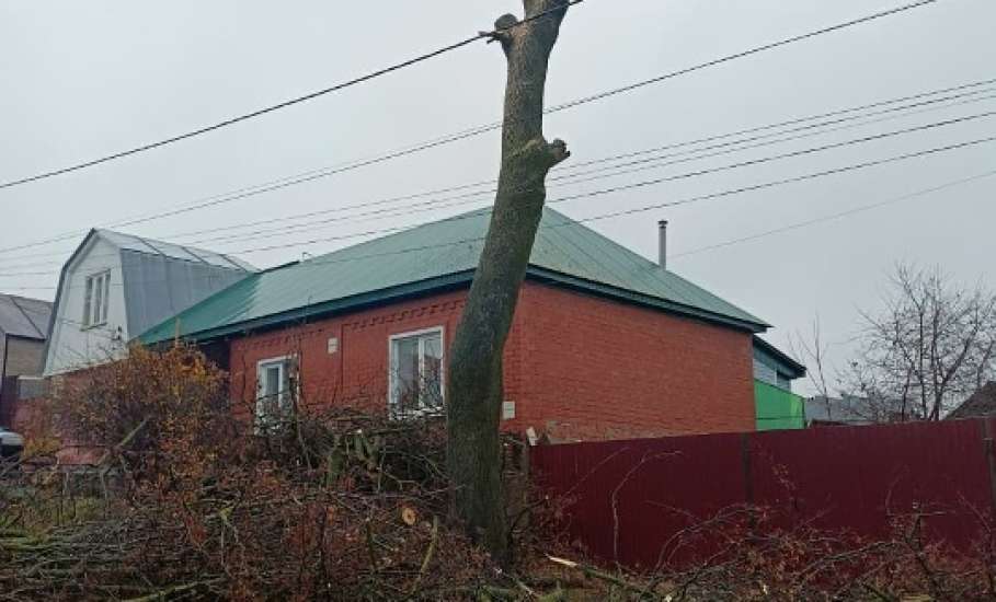 В Ельце продолжается уборка города и городского кладбища