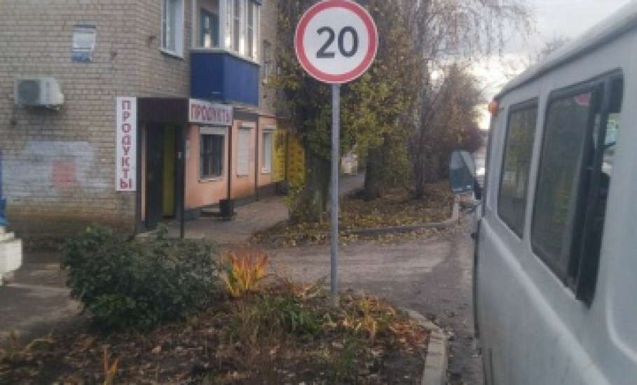 В Ельце продолжается опиловка деревьев на улицах, установка дорожных знаков и уборка