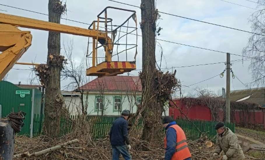 В Ельце продолжается опиловка деревьев на улицах, установка дорожных знаков и уборка