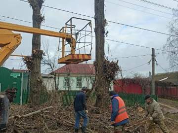 В Ельце продолжается опиловка деревьев на улицах, установка дорожных знаков и уборка