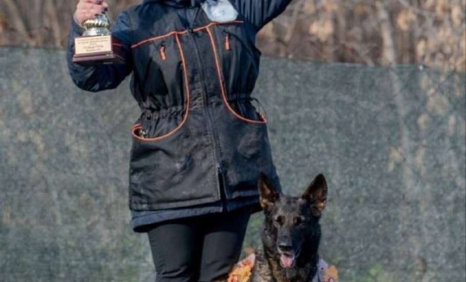 Немецкая овчарка по кличке Ракета из Ельца стала лучшей в стране!