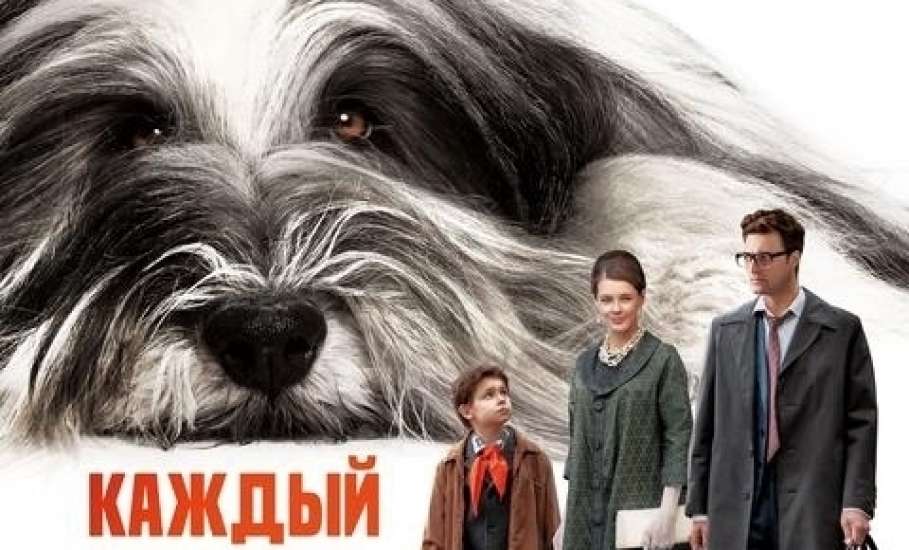 В Ельце состоится специальный показ фильма "Каждый мечтает о собаке"