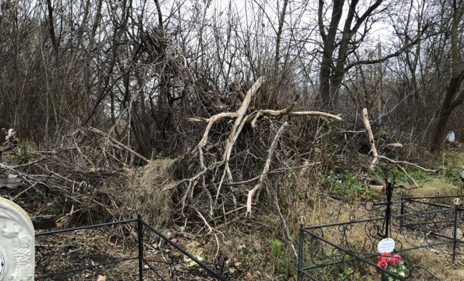 Кладбища в Елецком районе завалены мусором!