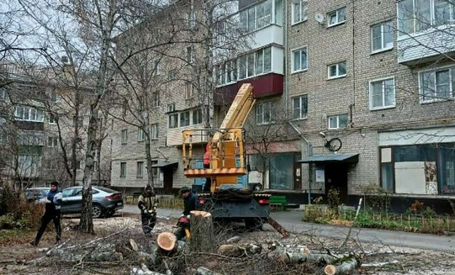 В Ельце практически ежедневно стали опиливать деревья