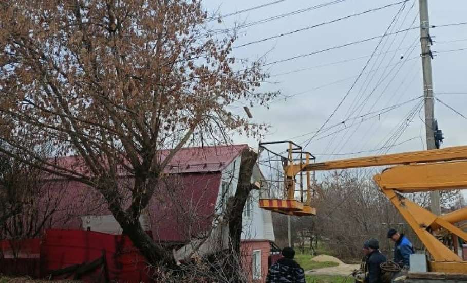 В Ельце практически ежедневно стали опиливать деревья