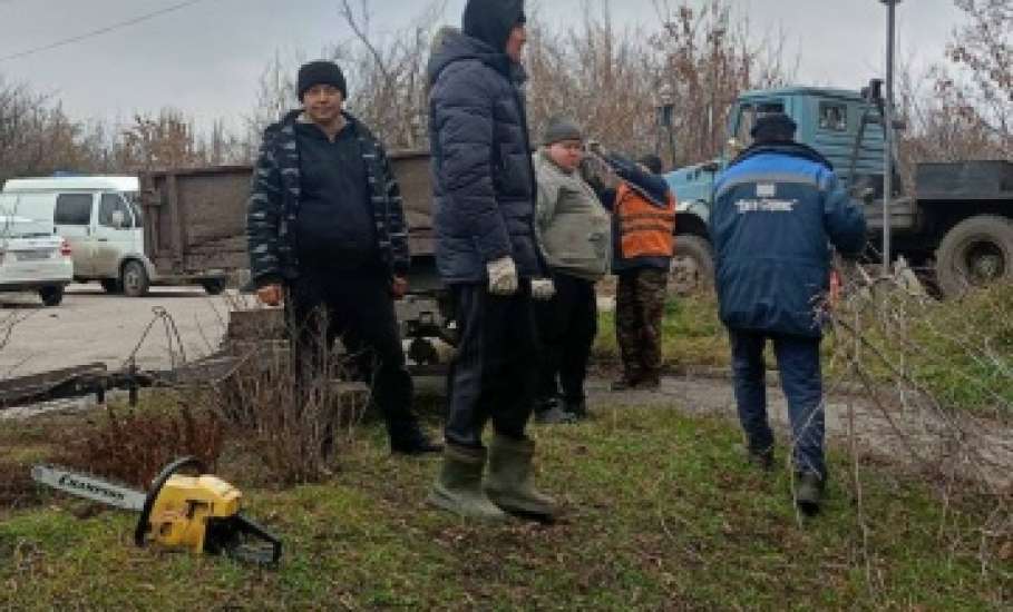 В Ельце практически ежедневно стали опиливать деревья