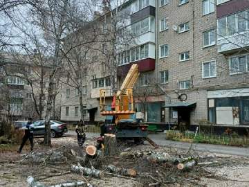 В Ельце практически ежедневно стали опиливать деревья