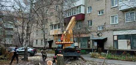 В Ельце практически ежедневно стали опиливать деревья